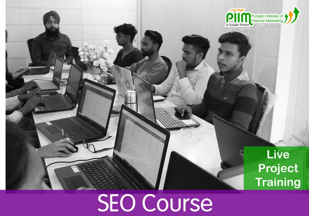 Best SEO Course Institute in Patiala Live Projects Training