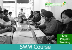 SMM Course in Barnala