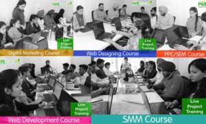 Digital Marketing course in patiala