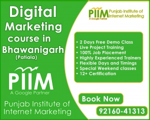 Digital Marketing Course in Bhawanigarh