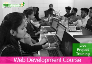 web development Course in Pehowa