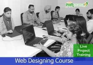 Web Designing Course in Sanam